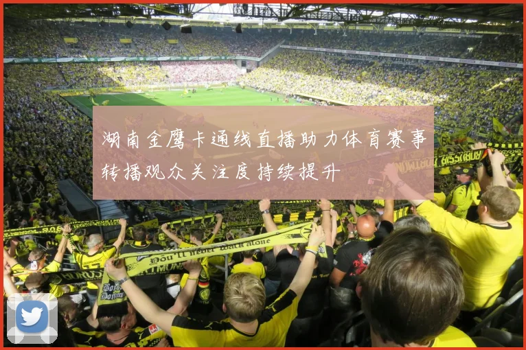 湖南金鹰卡通线直播助力体育赛事转播观众关注度持续提升