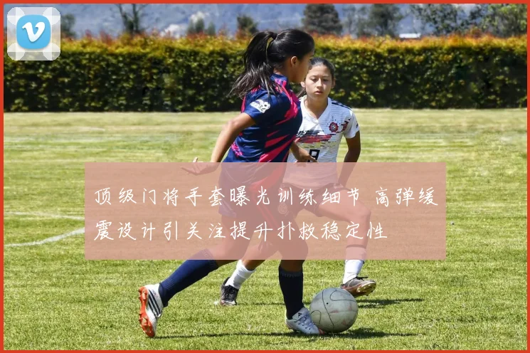 顶级门将手套曝光训练细节 高弹缓震设计引关注提升扑救稳定性