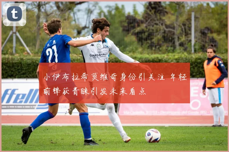 小伊布拉希莫维奇身份引关注 年轻前锋获青睐引发未来看点